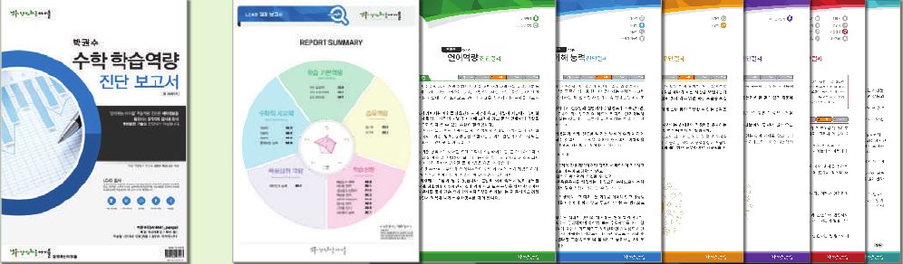 LCAD 수학 학습역량 진단 보고서 예시
